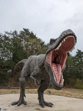 福井県立恐竜博物館に投稿された画像（2024/4/19）