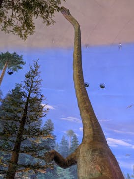 福井県立恐竜博物館に投稿された画像（2024/4/19）