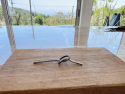 熱海の手作り指輪工房～MATEI（マテイ）～に投稿された画像（2024/4/19）