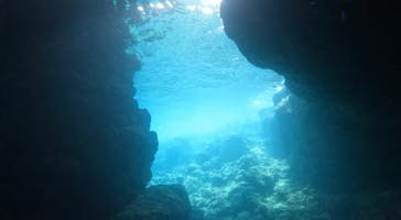 武藤潜水に投稿された画像（2024/4/19）