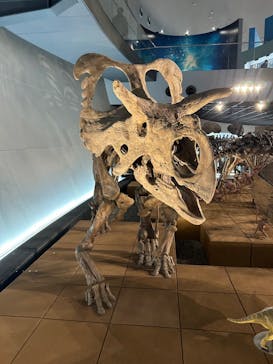 福井県立恐竜博物館に投稿された画像（2024/4/19）