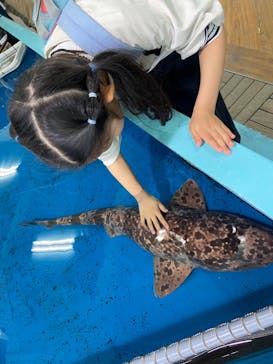 竹島水族館に投稿された画像（2024/4/19）