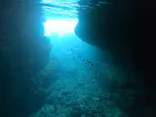 武藤潜水に投稿された画像（2024/4/19）