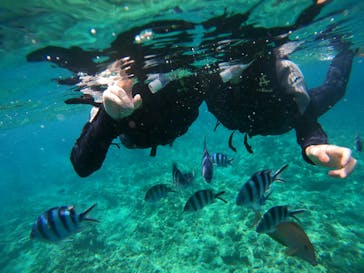 武藤潜水に投稿された画像（2024/4/19）