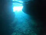 武藤潜水に投稿された画像（2024/4/19）