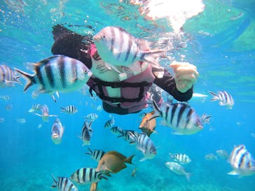 武藤潜水に投稿された画像（2024/4/19）