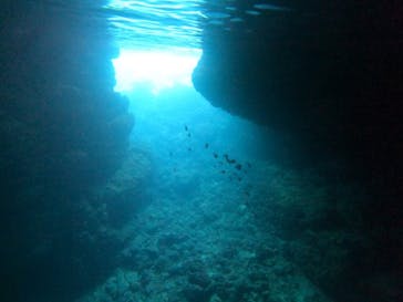 武藤潜水に投稿された画像（2024/4/19）