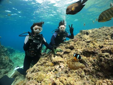 武藤潜水に投稿された画像（2024/4/19）