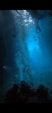 武藤潜水に投稿された画像（2024/4/19）