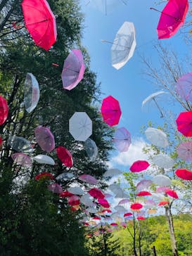 ムーミンバレーパークに投稿された画像（2024/4/19）