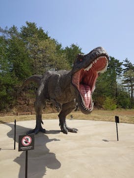 福井県立恐竜博物館に投稿された画像（2024/4/19）