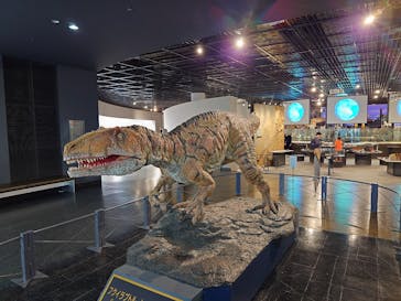 福井県立恐竜博物館に投稿された画像（2024/4/19）