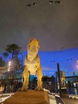 福井県立恐竜博物館に投稿された画像（2024/4/19）