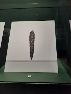 特別展「古代メキシコ ーマヤ、アステカ、テオティワカン」に投稿された画像（2024/4/19）