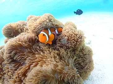 宮古島マリン GB QUESTに投稿された画像（2024/4/19）