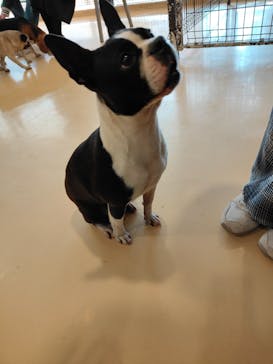 アソビュー！ポイントに投稿された画像（2024/4/19）