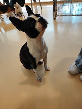 アソビュー！ポイントに投稿された画像（2024/4/19）