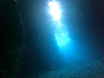 武藤潜水に投稿された画像（2024/4/19）