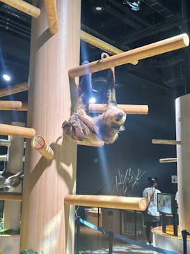 DMMかりゆし水族館に投稿された画像（2024/4/19）