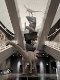 福井県立恐竜博物館に投稿された画像（2024/4/19）
