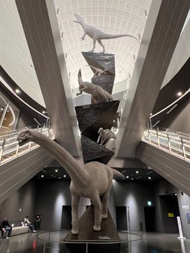 福井県立恐竜博物館に投稿された画像（2024/4/19）