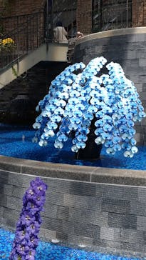 浜名湖花博2024に投稿された画像（2024/4/19）