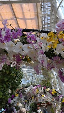 浜名湖花博2024に投稿された画像（2024/4/19）