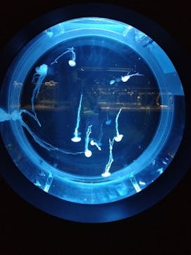 AOAO SAPPOROに投稿された画像（2024/4/19）