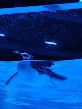 AOAO SAPPOROに投稿された画像（2024/4/19）