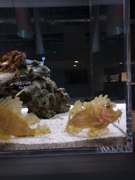 AOAO SAPPOROに投稿された画像（2024/4/19）