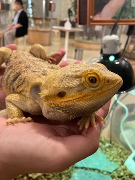 Moff animal cafe イオンモール幕張新都心店に投稿された画像（2024/4/19）