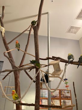 Moff animal cafe イオンモール幕張新都心店に投稿された画像（2024/4/19）