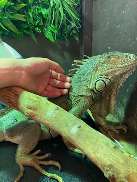 Moff animal cafe イオンモール幕張新都心店に投稿された画像（2024/4/19）