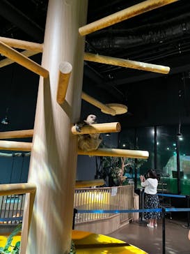 DMMかりゆし水族館に投稿された画像（2024/4/19）