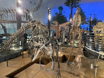 福井県立恐竜博物館に投稿された画像（2024/4/19）