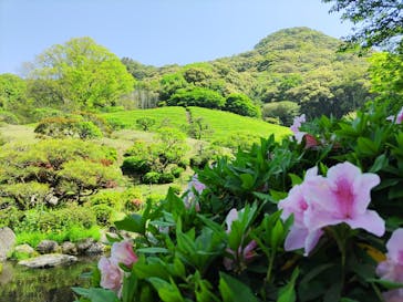 陽光美術館・日本庭園 慧洲園に投稿された画像（2024/4/19）