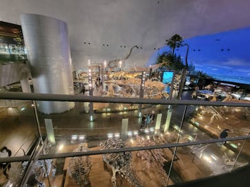 福井県立恐竜博物館に投稿された画像（2024/4/19）