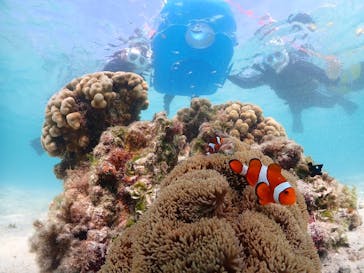 宮古島マリンショップSmileyに投稿された画像（2024/4/20）