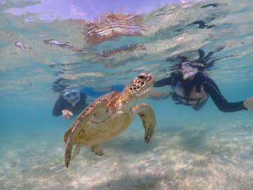 宮古島マリンショップSmileyに投稿された画像（2024/4/20）