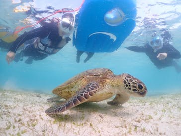 宮古島マリンショップSmileyに投稿された画像（2024/4/20）