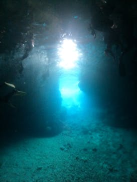 武藤潜水に投稿された画像（2024/4/20）