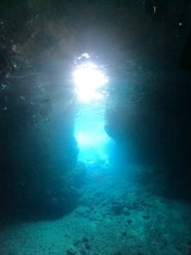 武藤潜水に投稿された画像（2024/4/20）