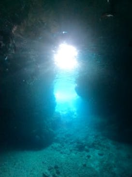 武藤潜水に投稿された画像（2024/4/20）