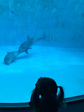 名古屋港水族館に投稿された画像（2024/4/20）