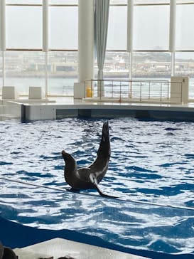 アクアワールド茨城県大洗水族館に投稿された画像（2024/4/20）