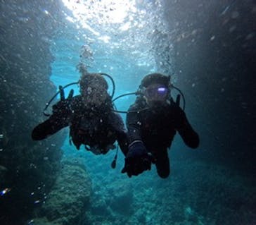 沖縄マリンサービス碧に投稿された画像（2024/4/20）