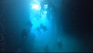 武藤潜水に投稿された画像（2024/4/20）