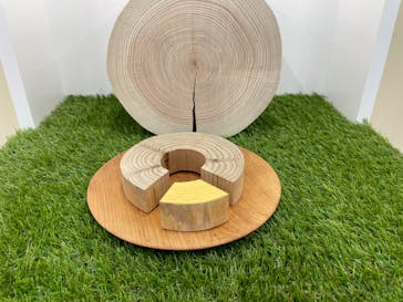 新潟県立自然科学館に投稿された画像（2024/4/20）