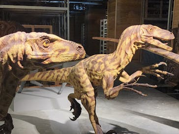 福井県立恐竜博物館に投稿された画像（2024/4/20）