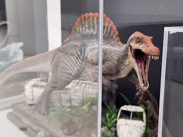 福井県立恐竜博物館に投稿された画像（2024/4/20）